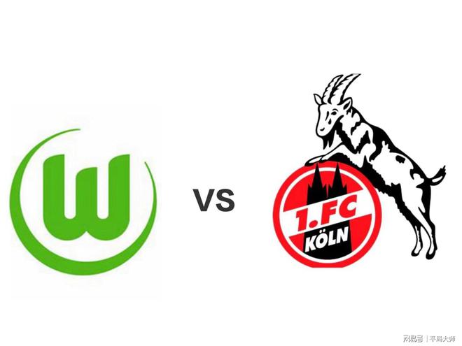 关于沃尔夫斯堡教练组合作默契，提升球队战力的信息