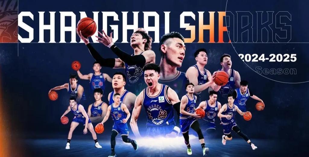 浙江队再胜一场，积分直追前排的简单介绍