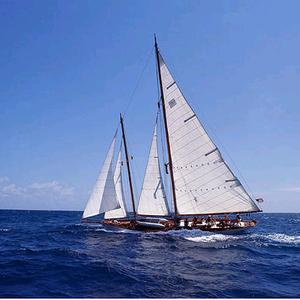 开云体育APP下载-新西兰帆船选手博特曼夺得男子风帆冠军