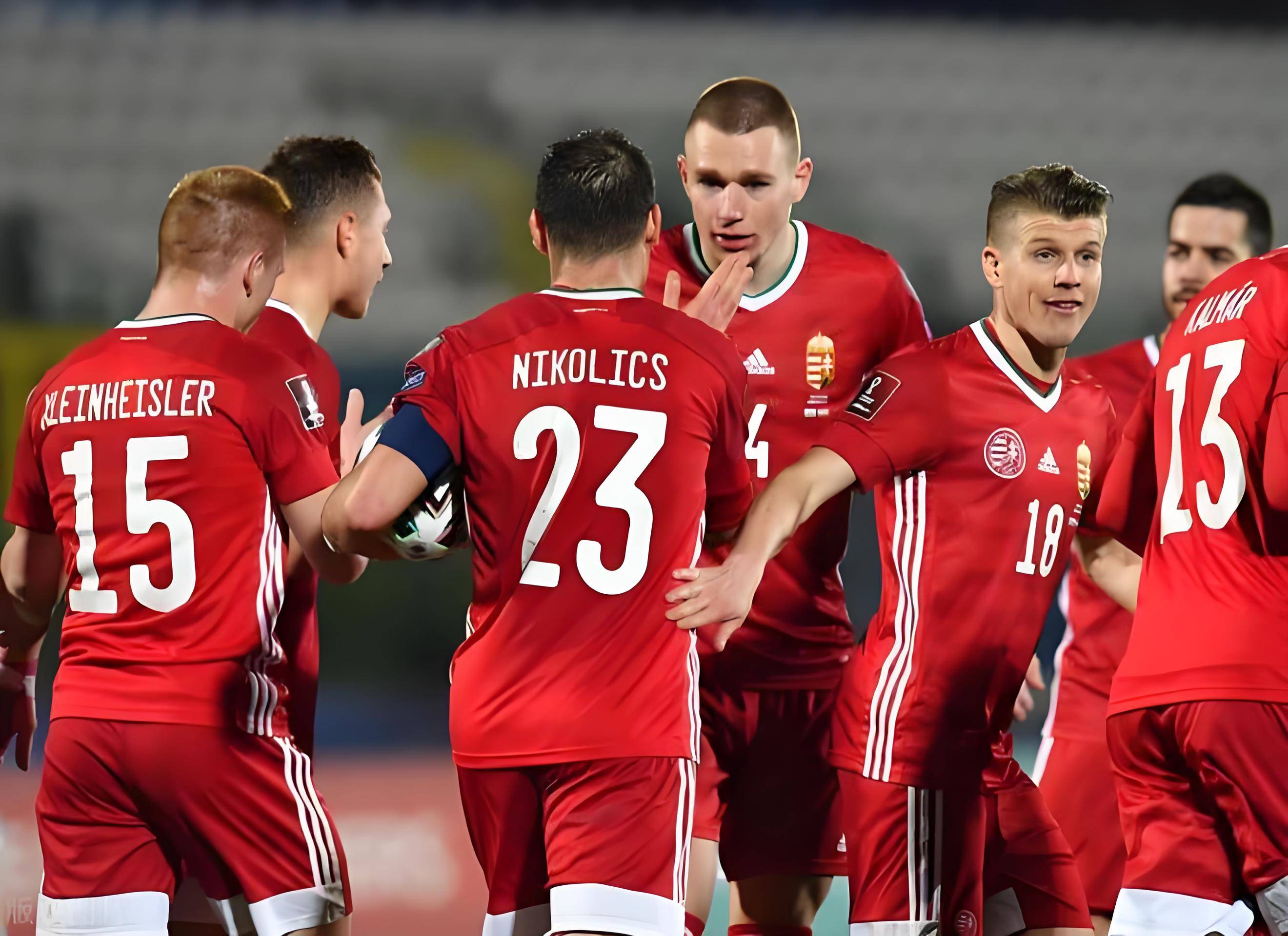 瑞士在比赛中击败保加利亚队 瑞士在比赛中击败保加利亚队