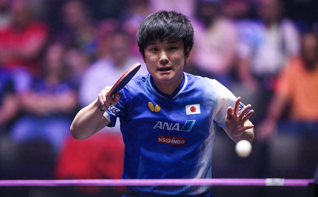 包含韩国队横扫葡萄牙队，张本智和状态火热的词条