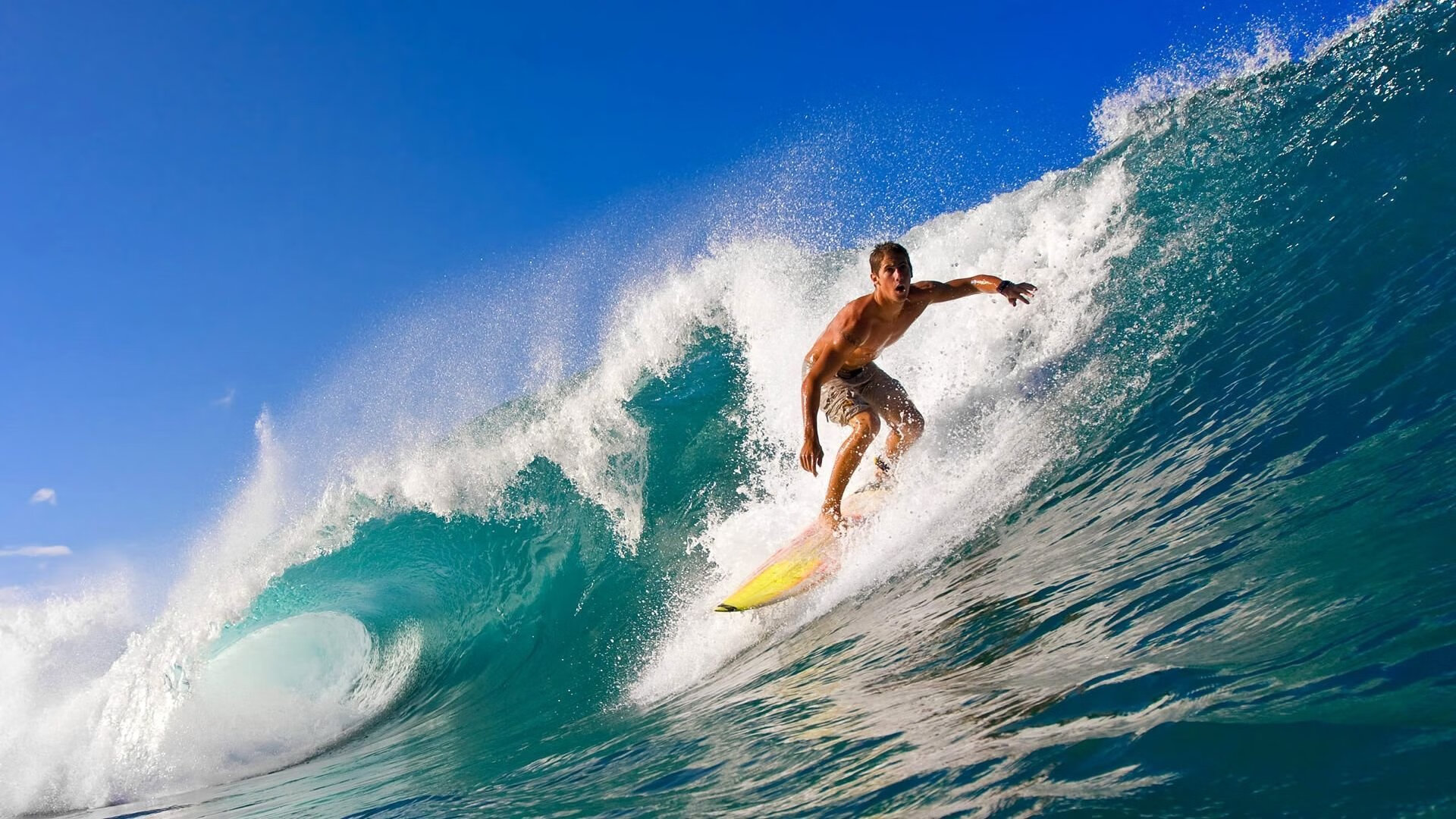 当龙吟遇上南粤，文班亚马在世纪之约中定义未来之战